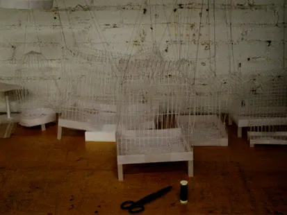 cage 6