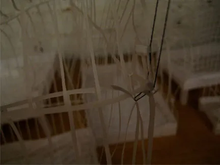 cage 7