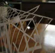 paper cages