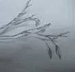 my first winter