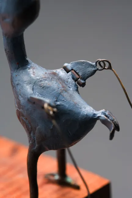 dodo 6