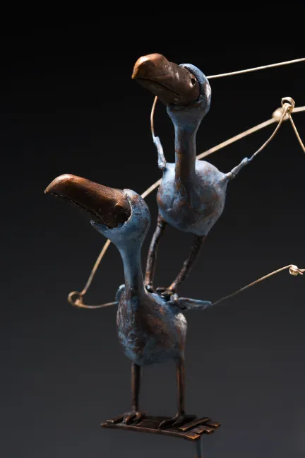 dodo 8