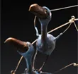 dodos