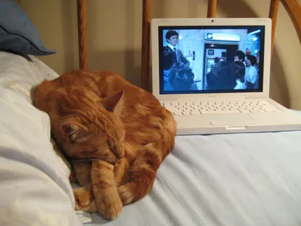 kip sleeping next to my computer playing sans soleil by chris marker