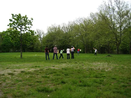 flying kites in the park 1