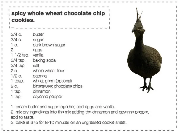 spicy whole wheat chocolate chip cookies