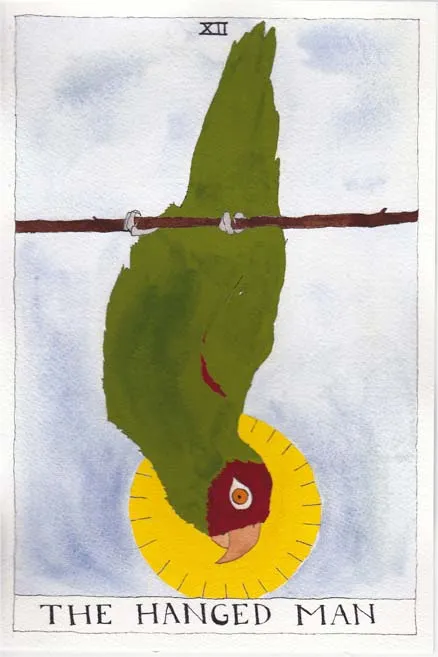 tarot card, the the hanged man with parrot
