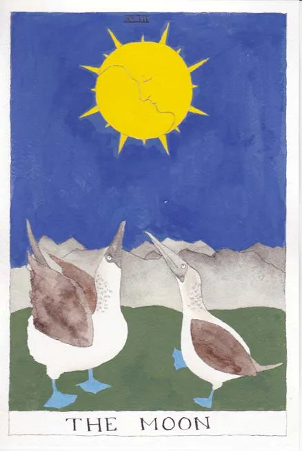 the moon with blue footed boobies