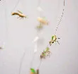 wasp project
