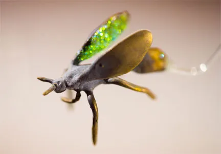 wasp close-up